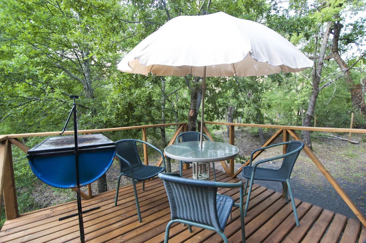 Duub Cabanas Las Trancas Ngoại thất bức ảnh