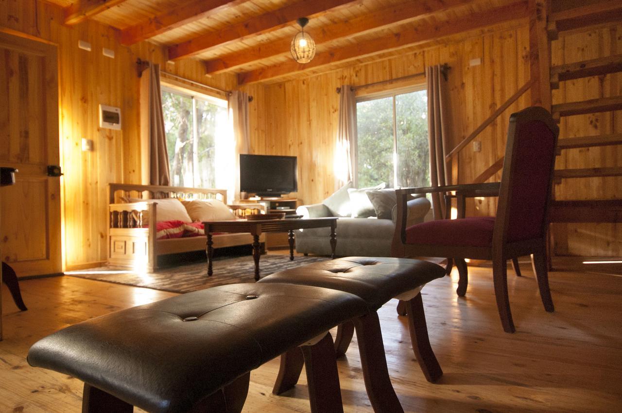 Duub Cabanas Las Trancas Ngoại thất bức ảnh